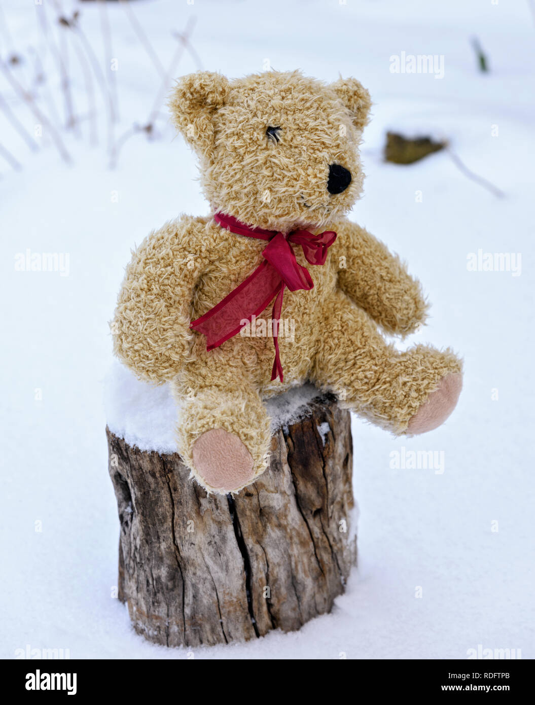 Brown children`s soft toy bear  sitting on a stump in the middle of white snow Stock Photo
